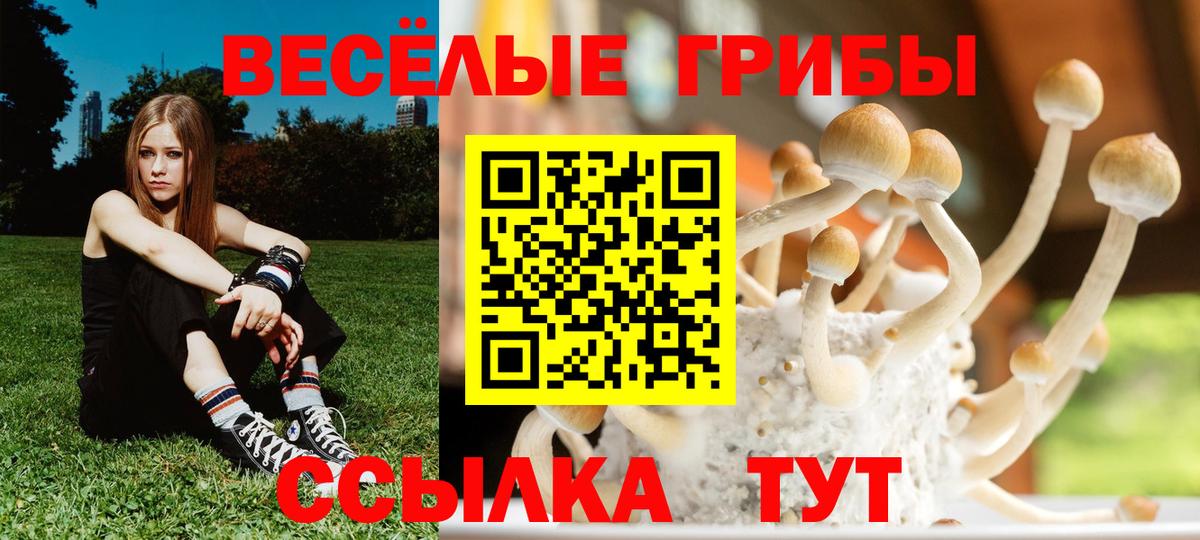 Псилоцибиновые грибы Magic Shrooms  Вход с VPN  Тверь 